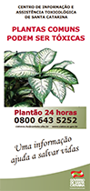 Plantas comuns tóxicas