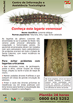 Lagarta venenosa Lonomia