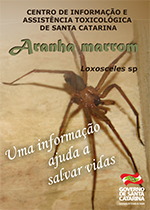 Aranha Marrom (Loxosceles)