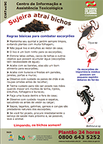 Escorpiões – Como combater