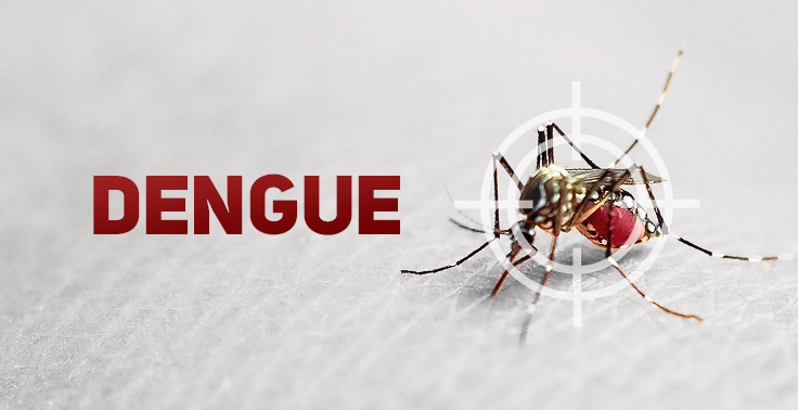Imagem informativa sobre dengue. À esquerda, em fundo claro e desfocado, aparece a palavra 'DENGUE' em letras grandes, maiúsculas e vermelhas. À direita, há um mosquito Aedes aegypti pousado sobre a pele humana, com o abdômen avermelhado por estar alimentado de sangue. Um símbolo de mira branco está sobreposto ao mosquito, destacando-o como o vetor da doença. A composição enfatiza a identificação e o combate ao inseto transmissor da dengue.