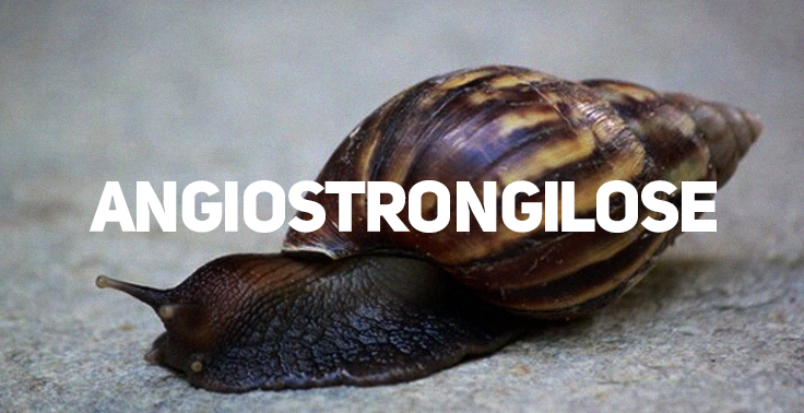 Banner com o título 'ANGIOSTRONGILOSE' em destaque sobre imagem de um caracol de concha marrom e listrada deslocando-se sobre uma superfície cinza.