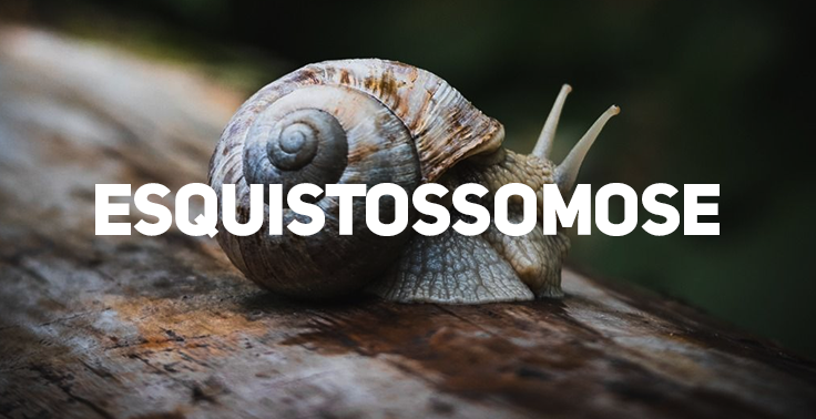 Imagem informativa de saúde com a palavra ESQUISTOSSOMOSE escrita centralizada em letras maiúsculas brancas. Ao fundo, em um tom de iluminação suave, sobressai um caramujo com concha espiralada caminhando sobre um tronco de madeira.