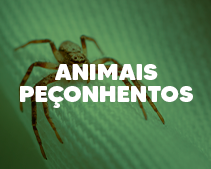 Animais Peçonhentos